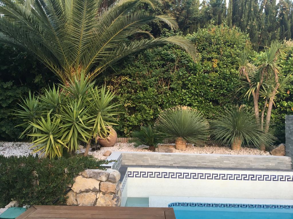 La Villa Blanche Sanary-sur-Mer Luaran gambar